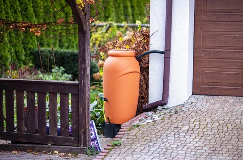 10 tys. zł dla właścicieli domów! Rusza NOWY program dofinasowań dla osób zbierających deszczówkę