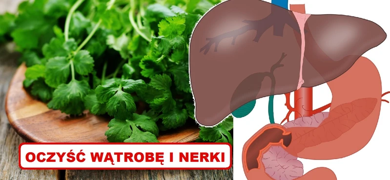 Oczyść WĄTROBĘ i NERKI przy pomocy tego naturalnego środka