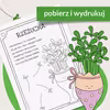 Czas na rzeżuchę! Pobierz kolorowankę z wierszykiem