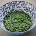 Pesto z natki marchewki