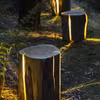 Świecące pieńki