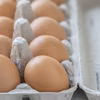UWAGA NA JAJKA Z BIEDRONKI! SALMONELLA!