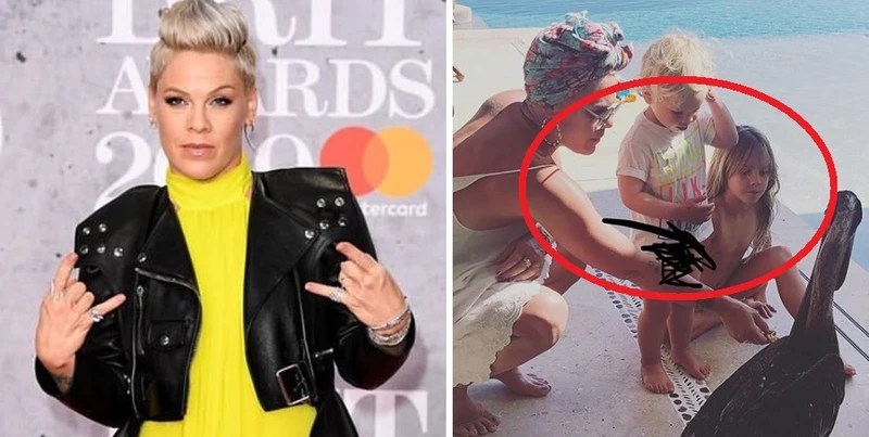PINK do MATEK z internetu: “jesteście k**wa OBRZYDLIWE”!