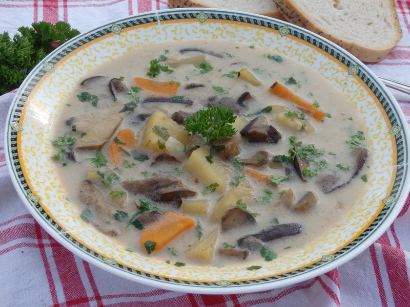 Zupa grzybowa ze świezych grzybów z ziemniakami