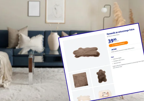 Ten dywan z Action za 39,95 zł odmieni każdy nudny salon! Jest mega miękki, wygląda jak z katalogu, a pranie to pestka