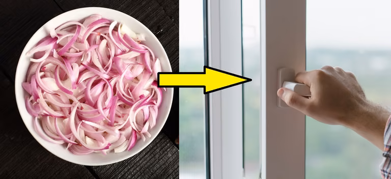 Wystaw pokrojoną cebulę za okno! Uciążliwy problem zniknie