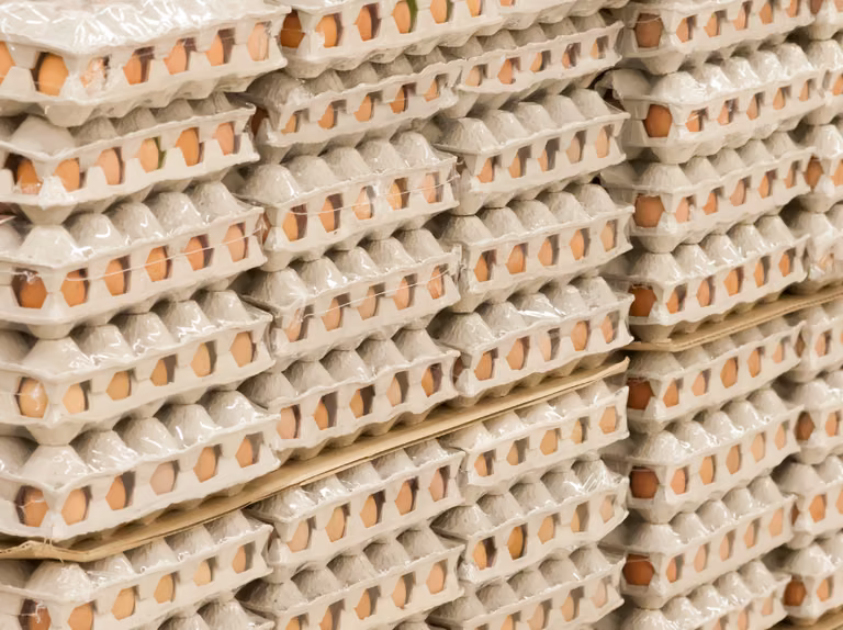 Producenci grożą wstrzymaniem dostaw jaj do supermarketów! Negocjacje zostały odwołane