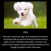 Super trik na wyczyszczenie psa!