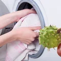Kasztany zamiast proszku? Ekologiczny trik, który naprawdę działa!