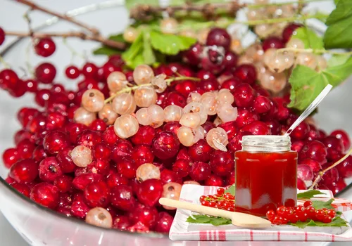Porzeczki w słoiku – 5 genialnych przepisów na domowe przetwory!