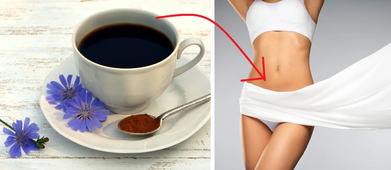 Kawa z cykorii – z czego ją robią i jak wpływa na organizm?