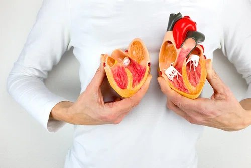 Przykładowy jadłospis przy niewydolności serca