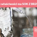 Jakie właściwości ma SOK Z BRZOZY?
