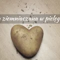Mąka ziemniaczana w pielęgnacji