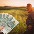 Polskie rolnictwo w kryzysie! Minister zapowiada miliardowe wsparcie
