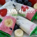 Domowe lody (takich nie kupisz!)