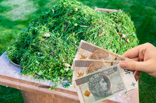Skoszona trawa to nie śmieć! Uwaga  można dostać nawet 500 zł mandatu!