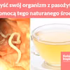 Oczyść swój organizm z pasożytów za pomocą tego naturalnego środka!