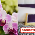Jeżeli masz w domu STORCZYKI to wykorzystaj ten trik!