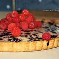 Tarta z kremem serowym waniliwo- jagodowym
