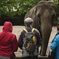 Dzień Miłośników Zoo: Jak Świętować i Dlaczego Zoo Są Ważne