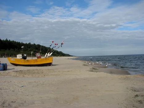Najtańszy sposób na świeżą rybę nad morzem