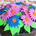 Tort kwiatek w doniczce