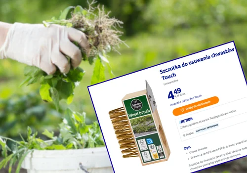 Ta szczotka z Action za 4 zł to wiosenny hit klientów! Chwasty nie mają szans - łatwe i przyjemne czyszczenie chodnika i kostki