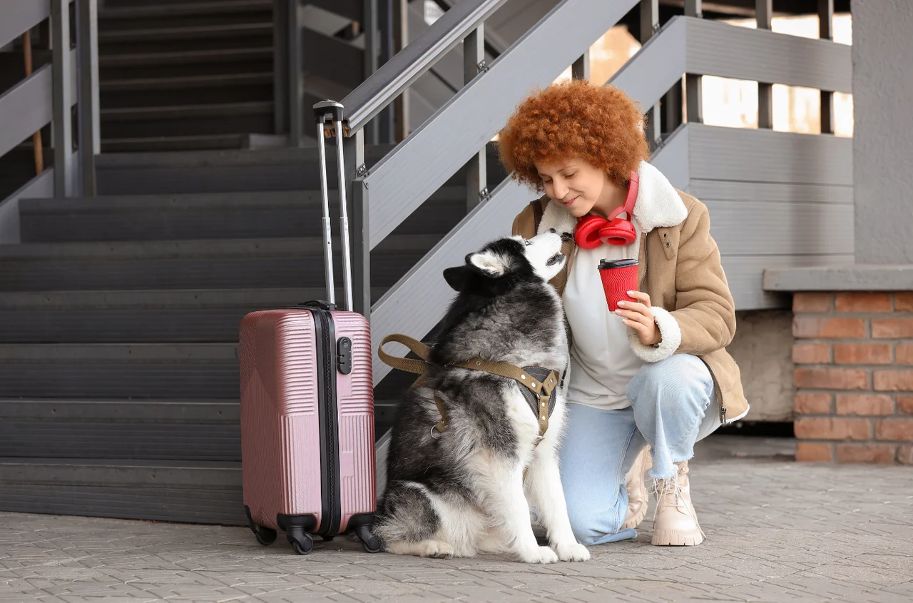 Podróż z psem już nie taka prosta? Te zmiany mogą pokrzyżować plany wakacyjne!