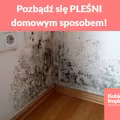 Pozbądź się PLEŚNI domowym sposobem!