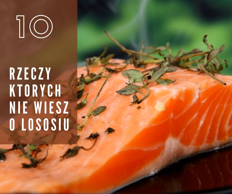 10 rzeczy, których nie wiedziałeś o łososiu