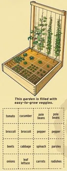Kompaktowy ogród