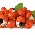 Guarana nie tylko na odchudzanie