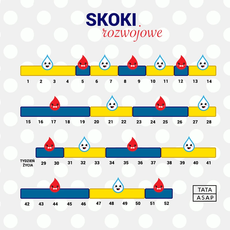 Kalendarz Skoków rozwojowych