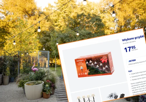 Te urocze lampki z Action będą hitem jesieni! Tylko 18 zł, bez wtyczki, a efekt jak z zaczarowanego ogrodu