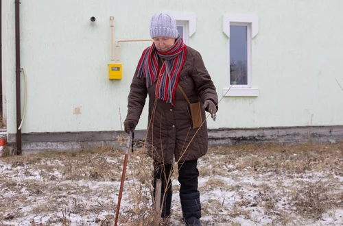 Wyższa renta wdowia! W marcu 2026 pierwsza waloryzacja nowego comiesięcznego świadczenia