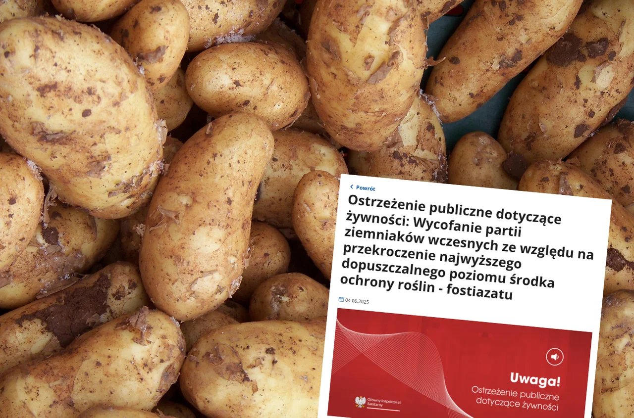 Ostrzeżenie GIS: popularne ziemniaki wycofane z Lidla. Sprawdź, czy masz je w domu