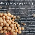 Dlaczego warto jeść soję?