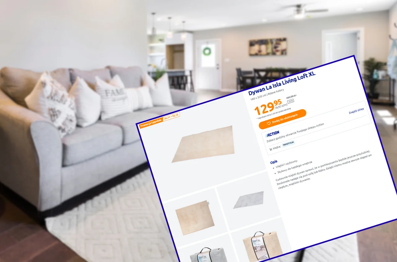 Te nowe dywany z Action zrobią efekt wow w salonie i sypialni! Rozmiary XL, miękkie jak koce i aktualnie w mega cenie
