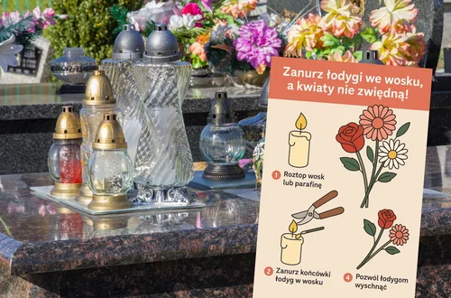 Zanurz łodygi we wosku, a kwiaty nie zwiędną! Stary florystyczny trik, który naprawdę działa!