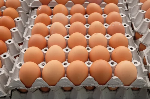 Jak sprawdzić świeżość jajek do ciasta? To ważne! Poznaj niezawodną metodę