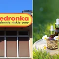 Tanie, wegańskie kosmetyki polskiej marki w Biedronce. Sprawdź, ile kosztują!