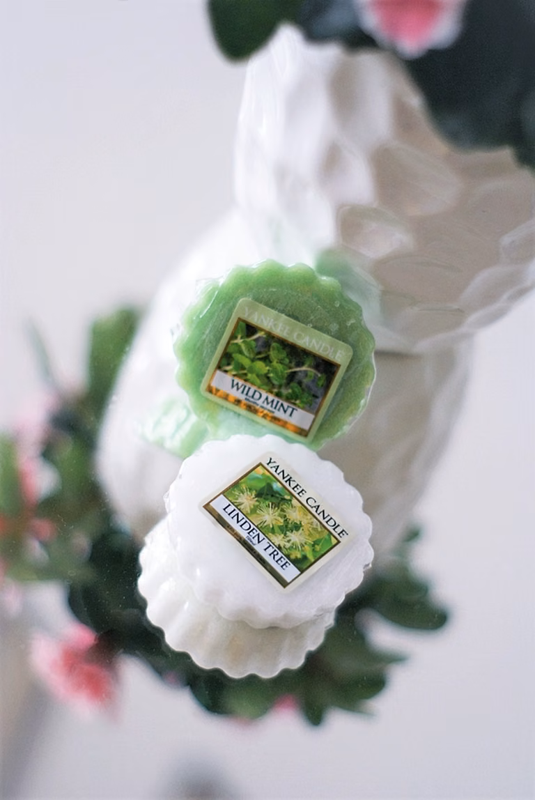 Yankee Candle - Linden Tree & Wild Mint