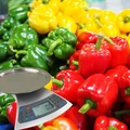 Patent na tańszą paprykę? Katarzyna Bosacka w ogniu krytyki!