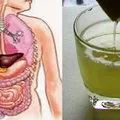 Jak oczyścić organizm po zimie? Wiosenny DETOKS