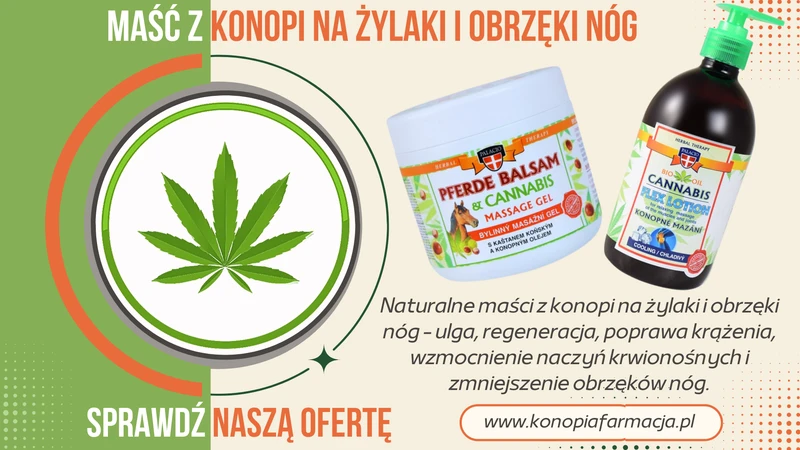 Maści z konopi na żylaki i obrzęki nóg