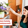Jak dobrać KWIATY do pomieszczeń w MIESZKANIU?