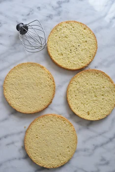 BISZKOPT NA TORT