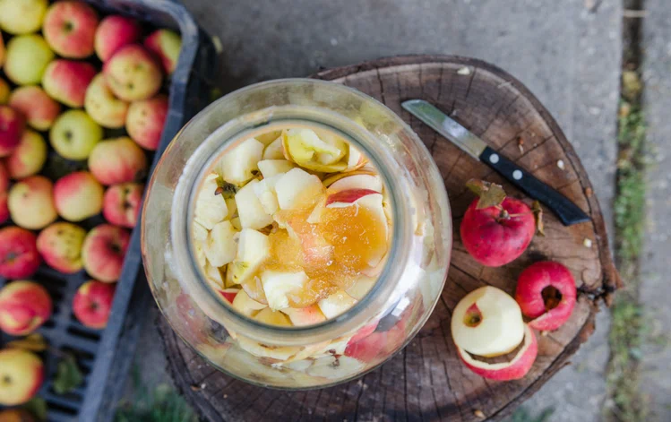 Zdjęcie Jak zrobić domowy ocet jabłkowy? Instrukcja krok po kroku #2