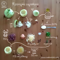 Zapiekana kalarepka z mięsem